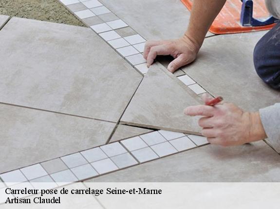 Carrelage seine et marne