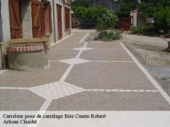 Carrelage brie comte robert