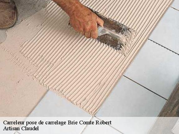 Carrelage brie comte robert