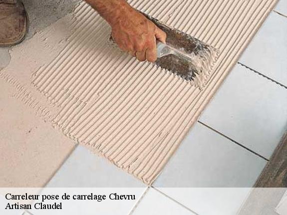 Carreleur pose de carrelage  chevru-77320 Artisan Claudel