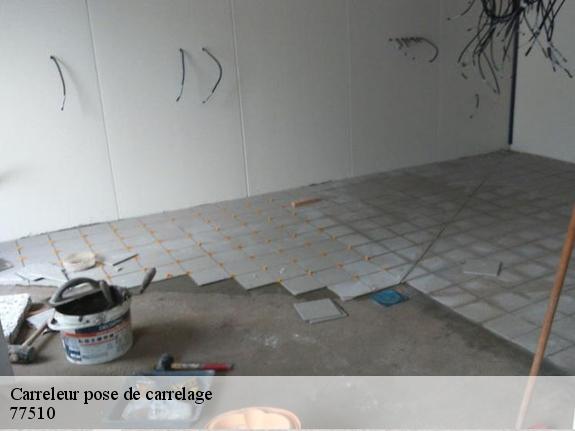 Carreleur pose de carrelage  77510