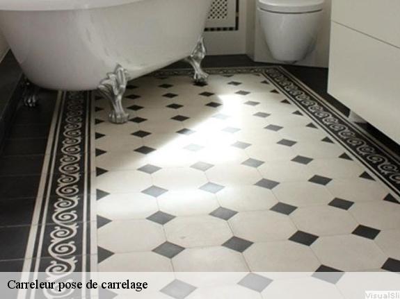 Carreleur pose de carrelage  77150