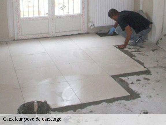 Carreleur pose de carrelage  77100